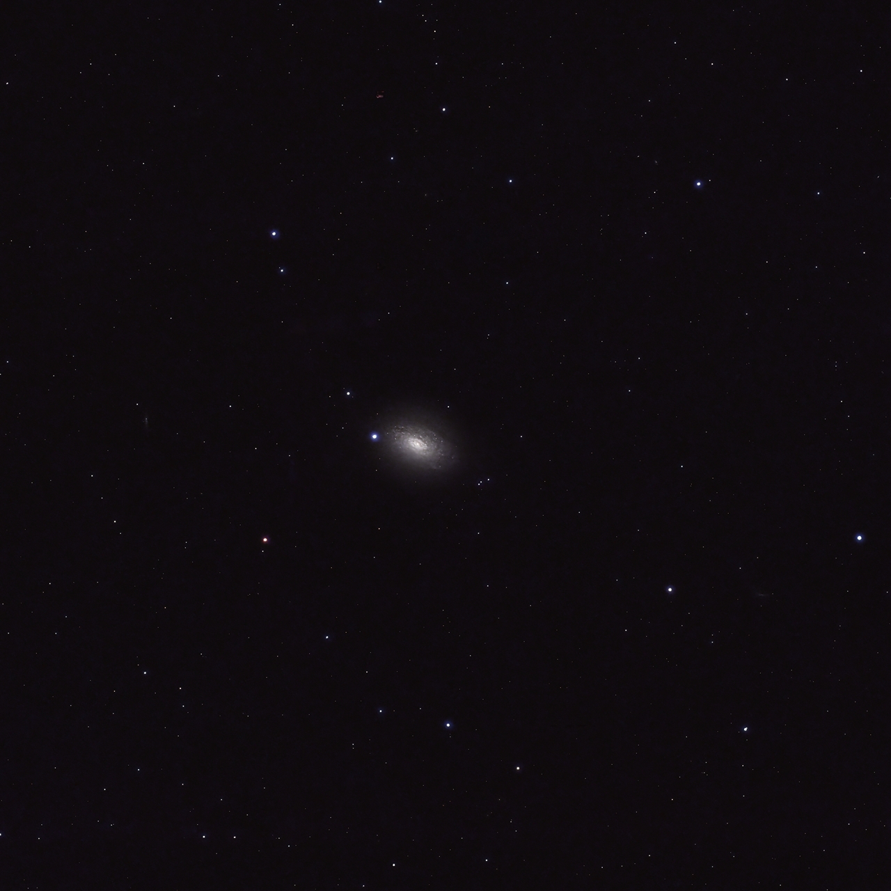 Sunflower Galaxy